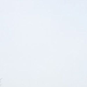 Meet your Posher, Tena